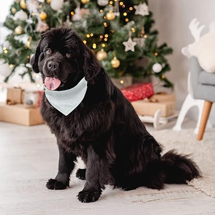 Bandana avec collier pour chien & chat - Personnaliser