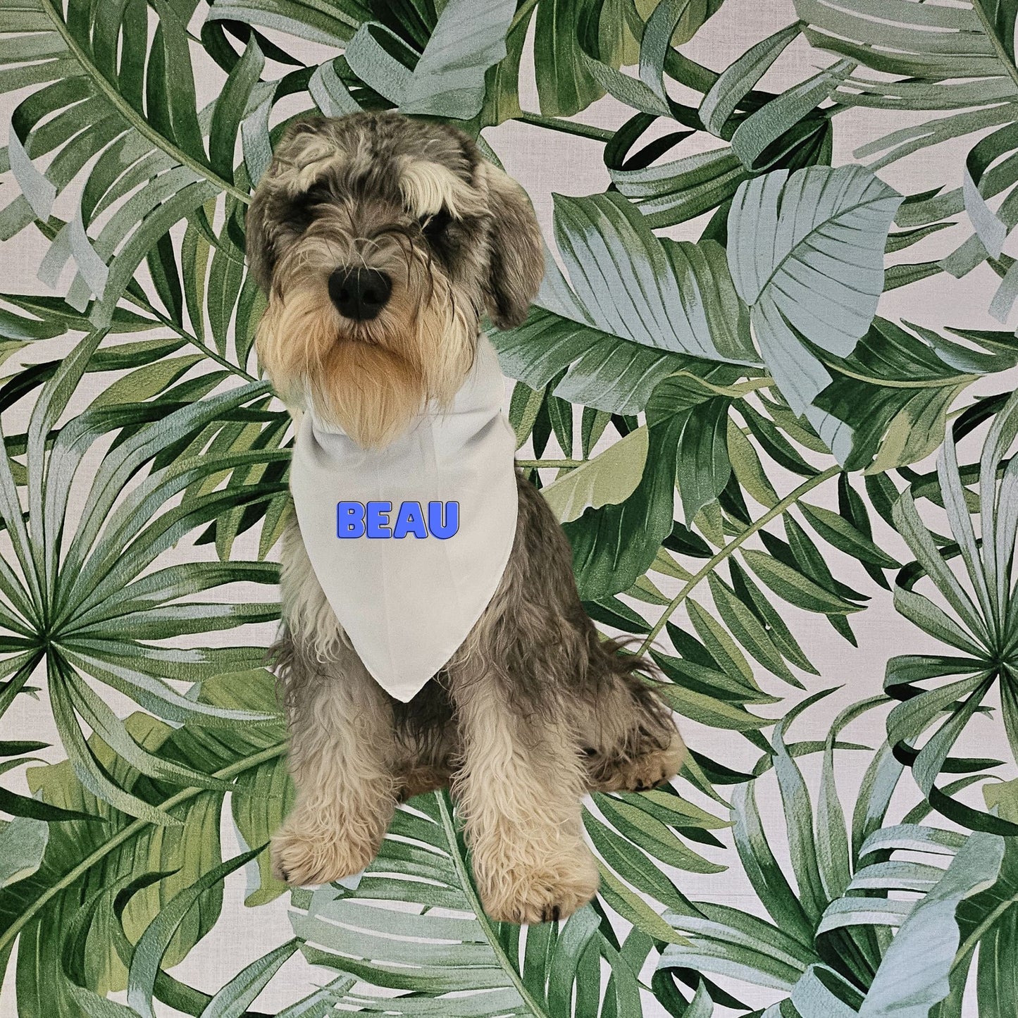 Bandana avec nœud chien & chat - Personnaliser
