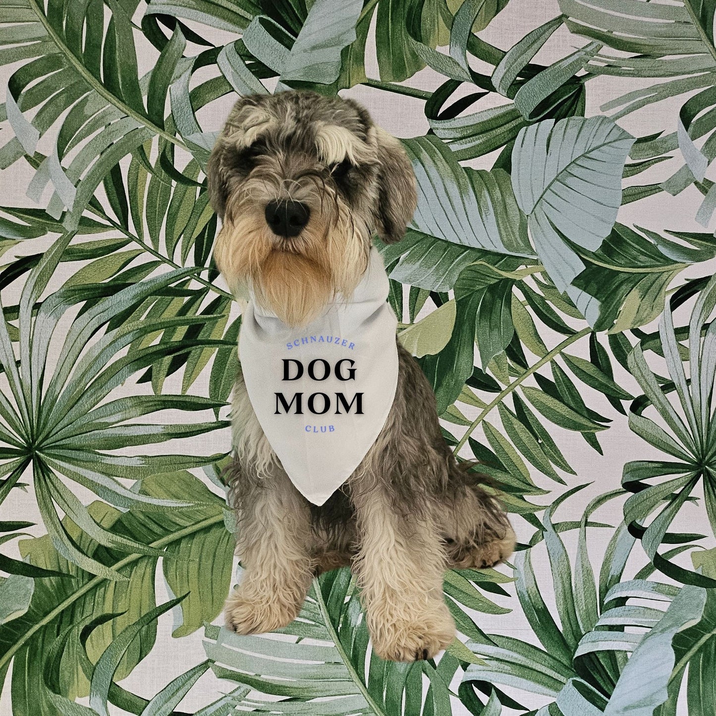 Bandana avec nœud chien & chat - Personnaliser