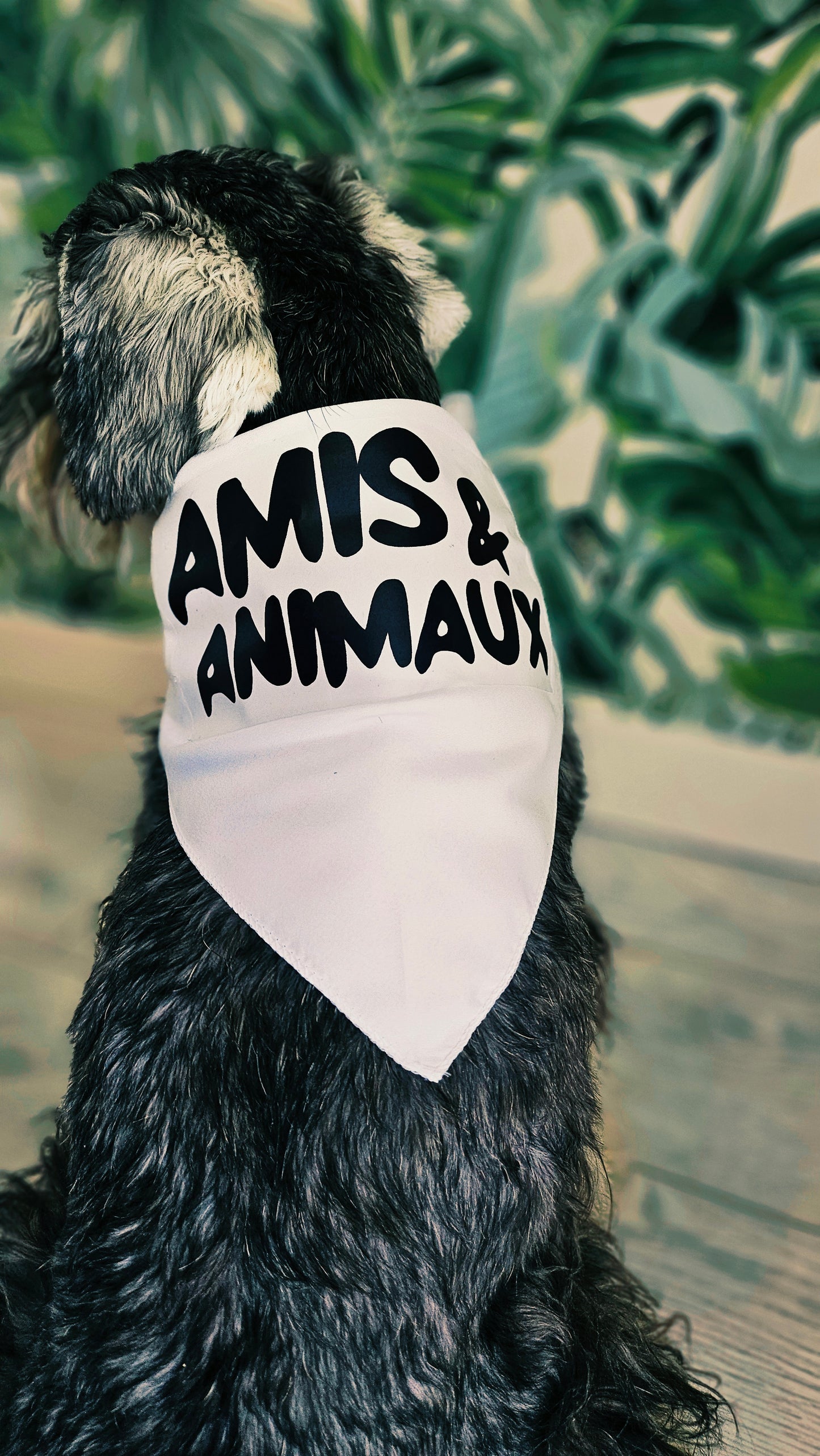 Bandana avec nœud chien & chat - Personnaliser