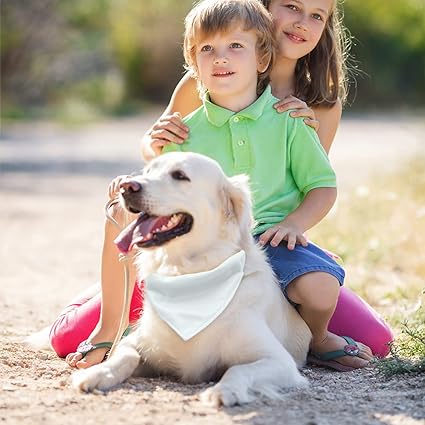 Bandana avec collier pour chien & chat - Personnaliser