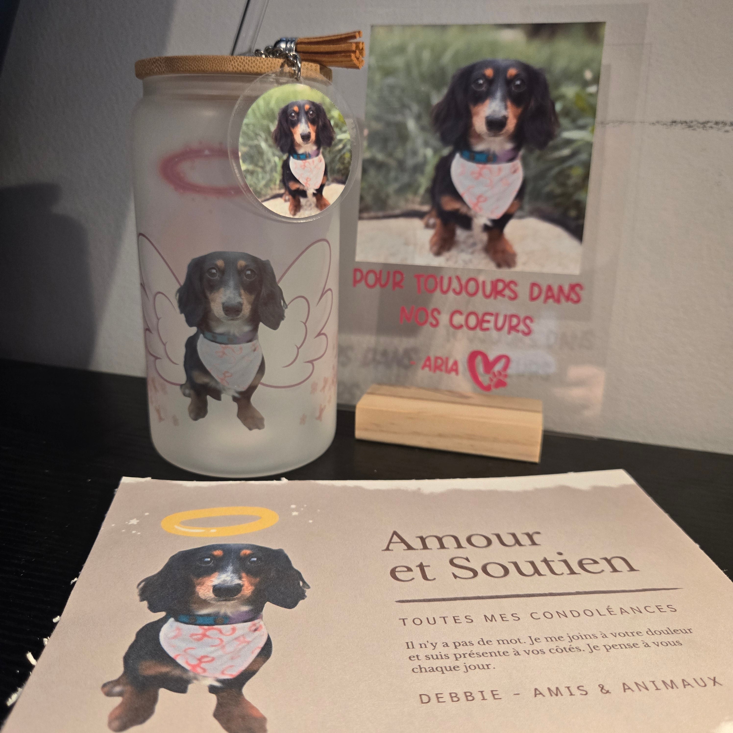 Boîte Douceur – Hommage & Tendresse pour nos Amis à Quatre Pattes