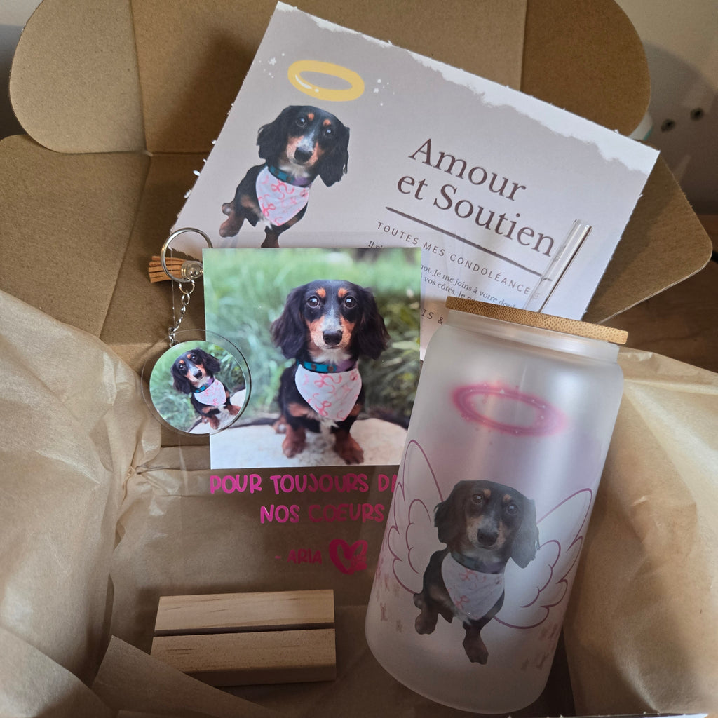 Boîte Douceur – Hommage & Tendresse pour nos Amis à Quatre Pattes