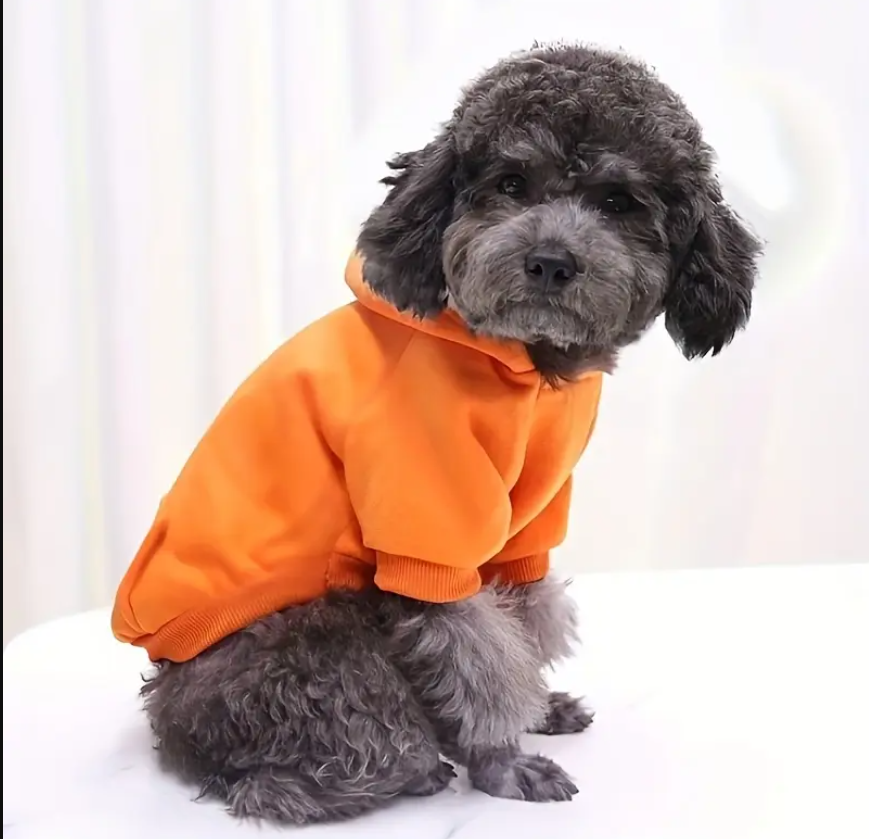 Hoodie pour chien - À Personnaliser