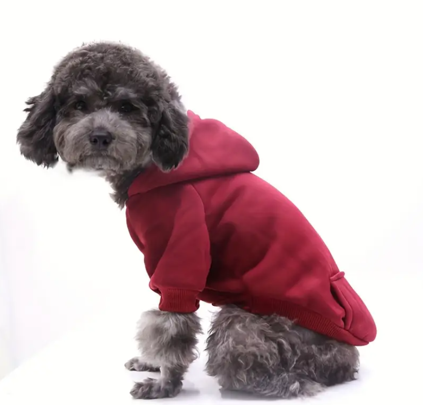 Hoodie pour chien - À Personnaliser