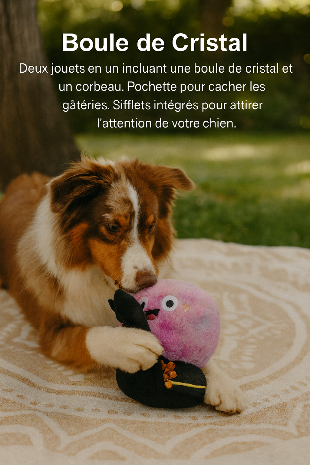 Jouets en peluche pour chien - 5 modèles Halloween