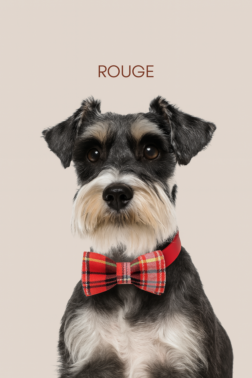 Noeud papillon pour animal - Rouge