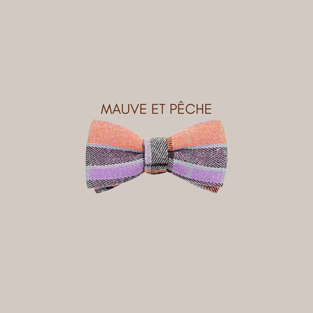 Noeud papillon pour animal - Mauve et pêche