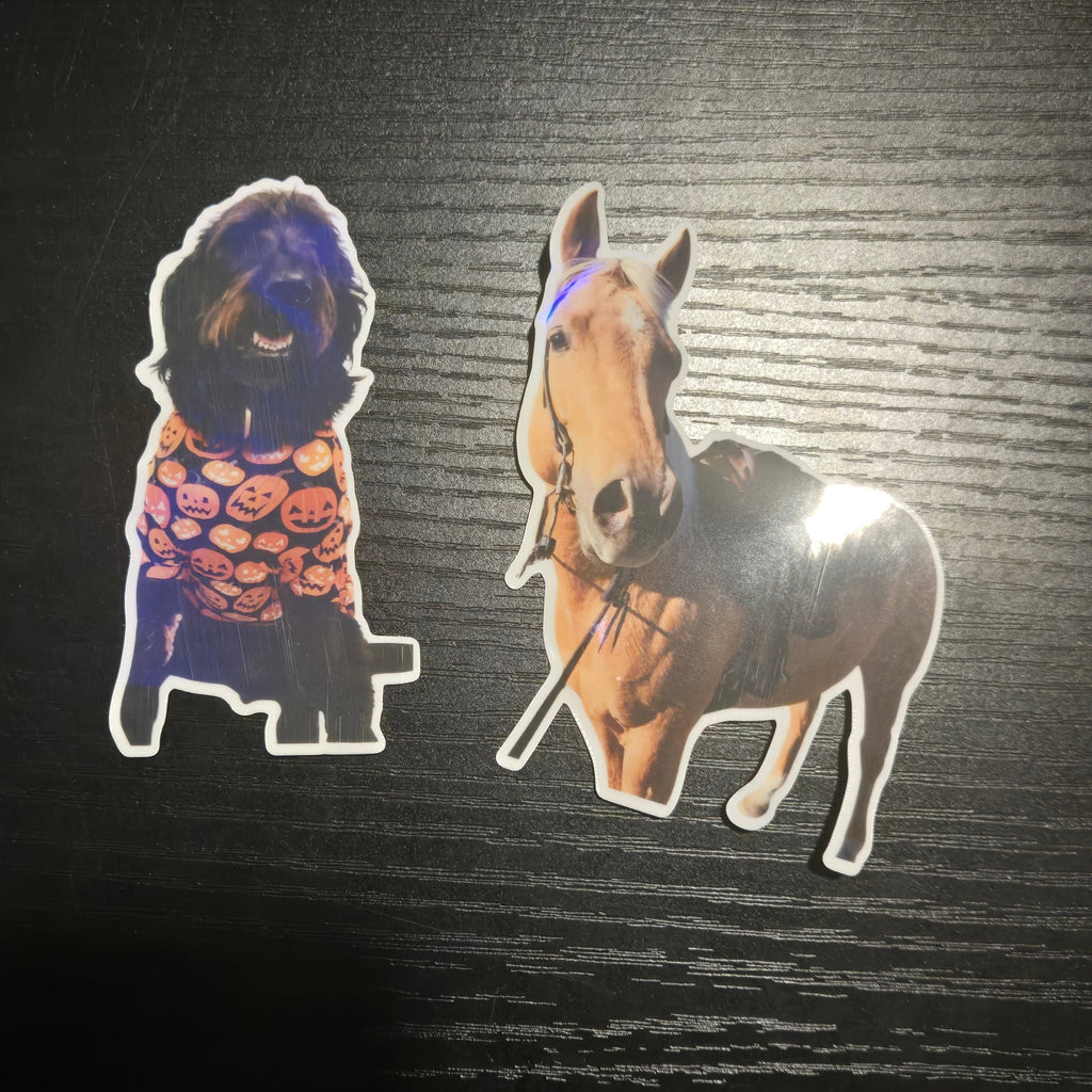 2.animal.personnaliser.complet