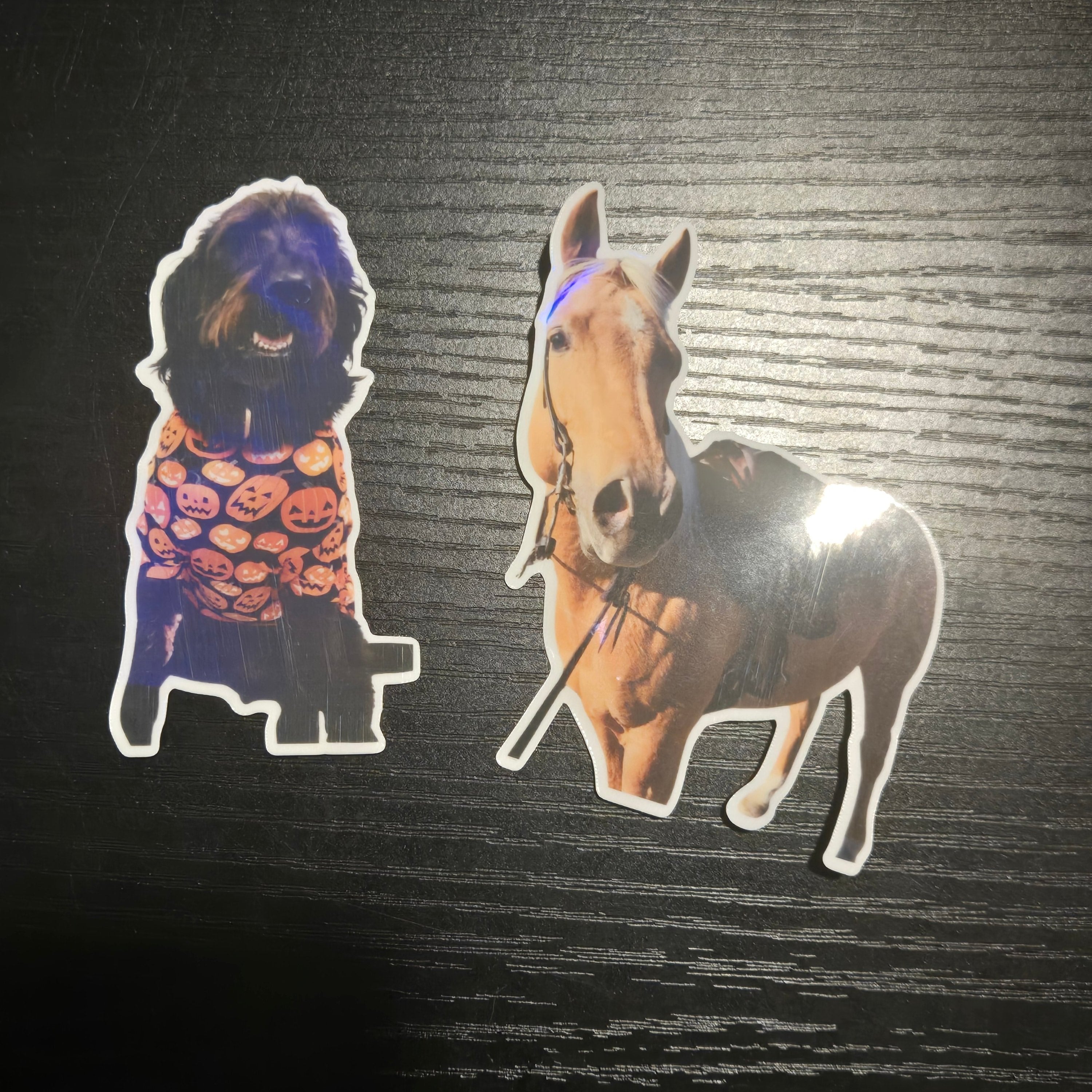 2.animal.personnaliser.complet