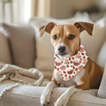 Bandana automne pour chien et chat – Automne Vibes | Amis & Animaux