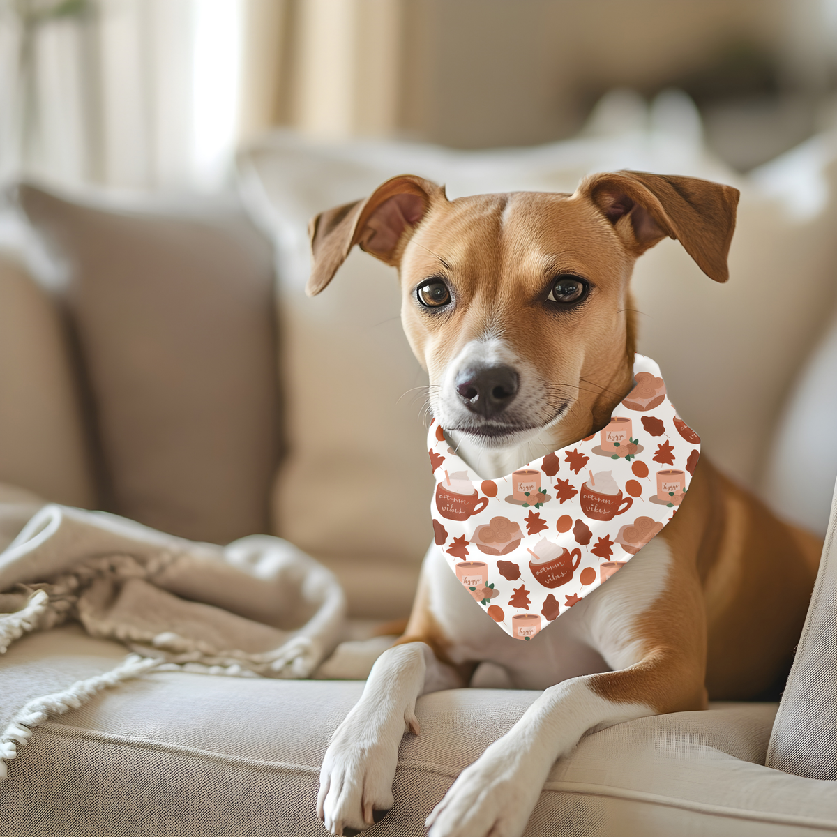 Bandana automne pour chien et chat – Automne Vibes | Amis & Animaux