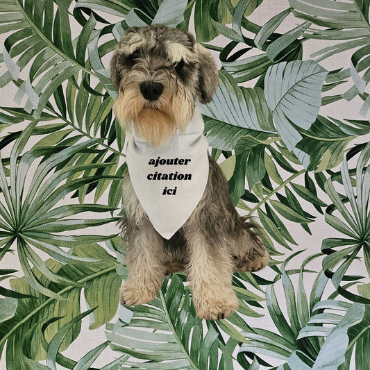 Bandana avec nœud chien & chat - Personnaliser avec photo ou citation