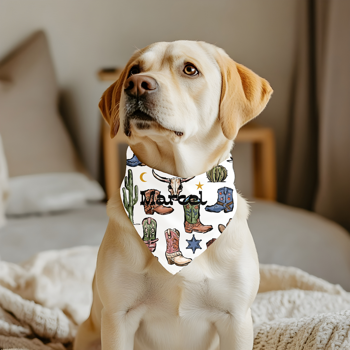 Bandana country personnalisé pour chien et chat – Le Country | Amis & Animaux