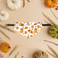 Bandana automne jaune pour chien et chat – L’Automne Doré | Amis & Animaux