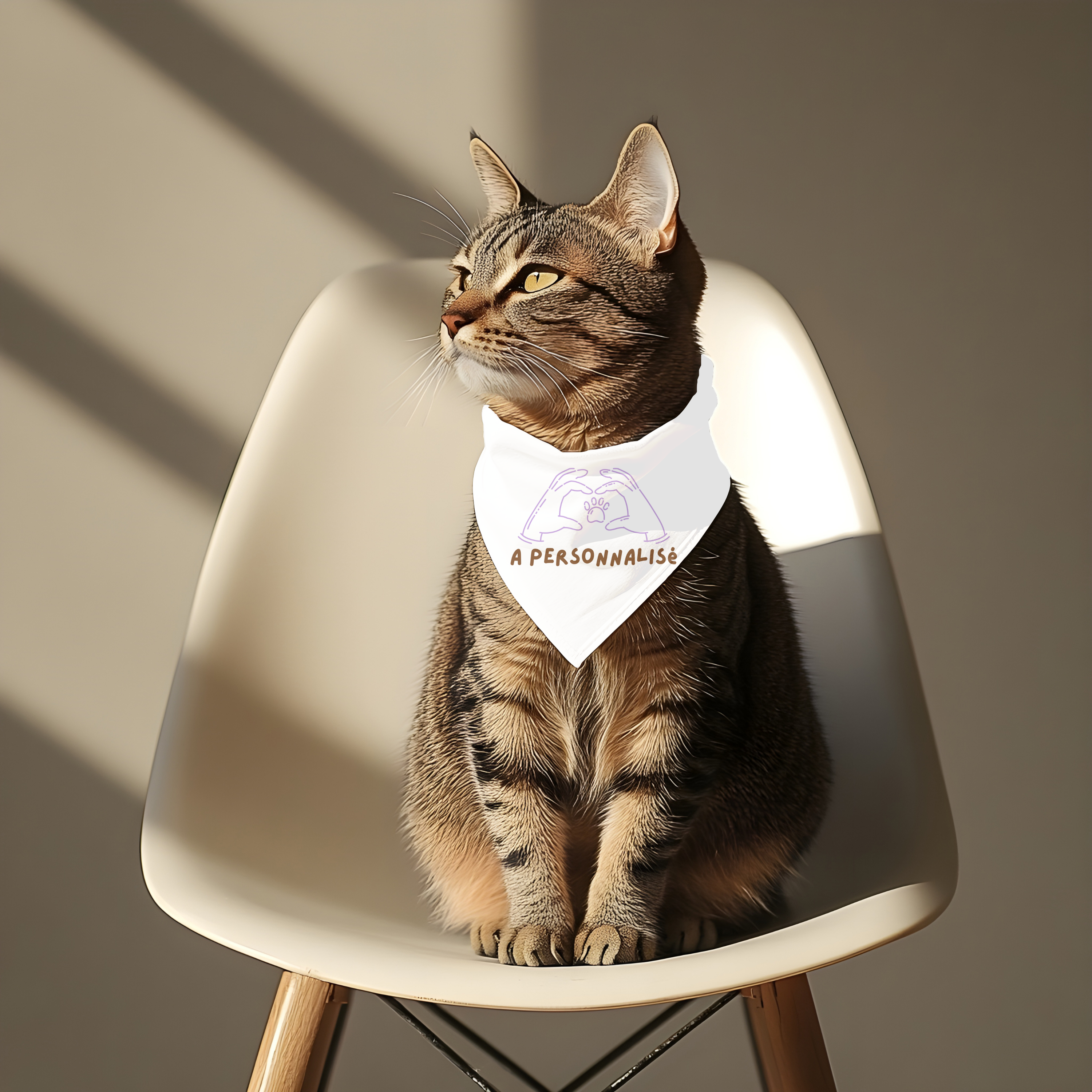 bandana.pour.animaux