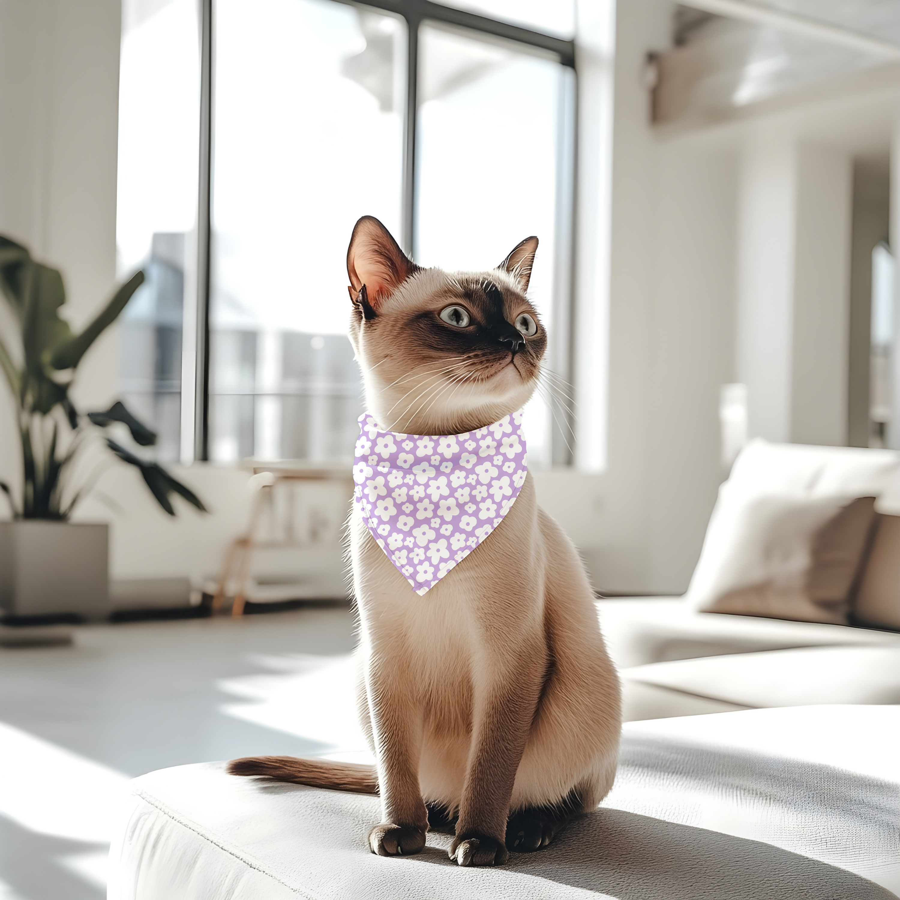 Bandana pour animaux - Douceur Violette