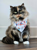 Bandana anniversaire pour chien et chat – C'est ta fête ! | Amis & Animaux