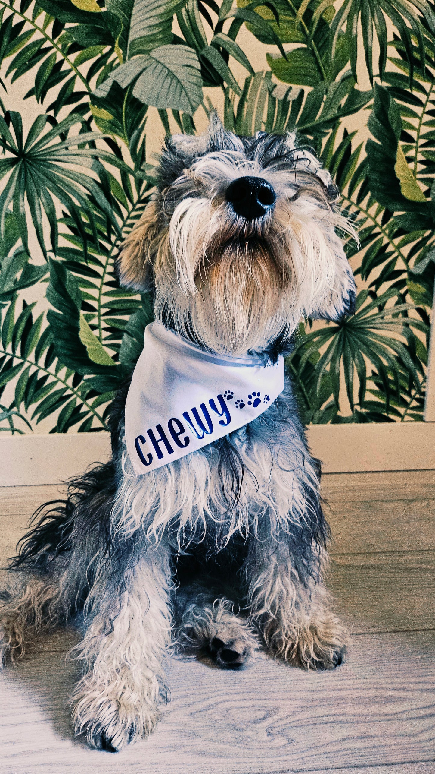 Bandana avec nœud chien & chat - Personnaliser