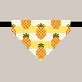 Bandana avec collier pour animaux - Ananas