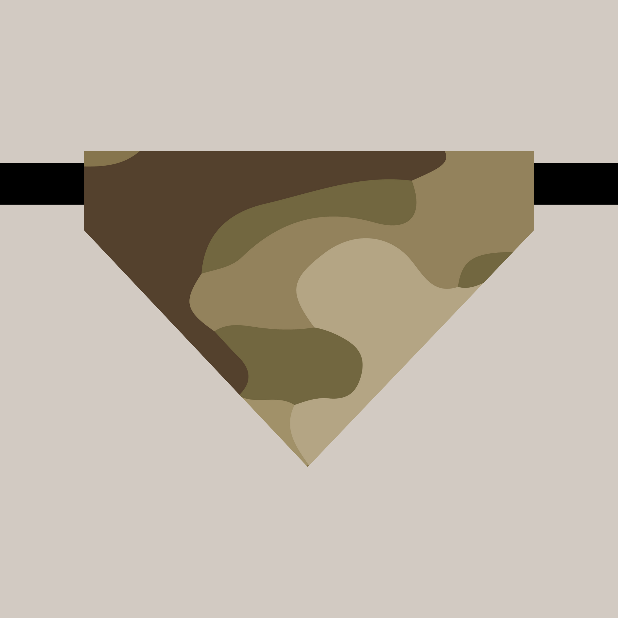 Bandana avec collier pour animaux - Camo