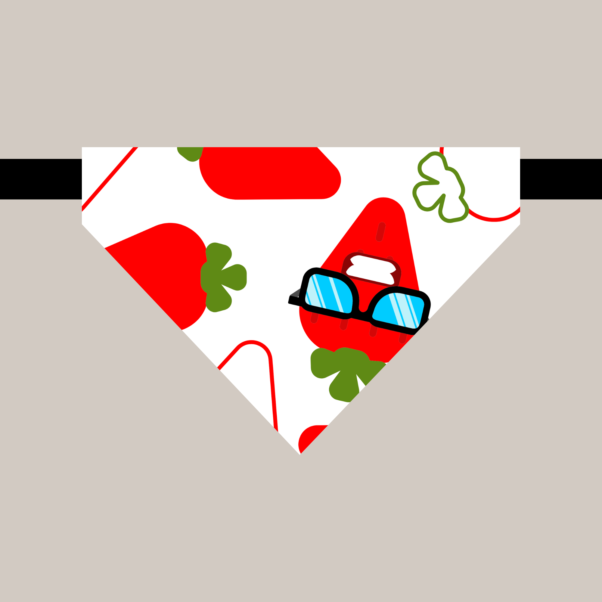 bandanas.avec.collier