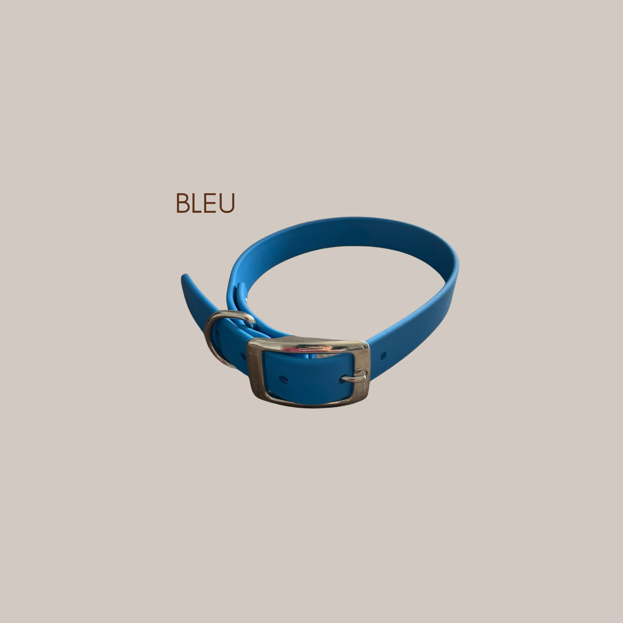 Collier à ceinture en biothane – Personnalisable avec le nom de votre animal