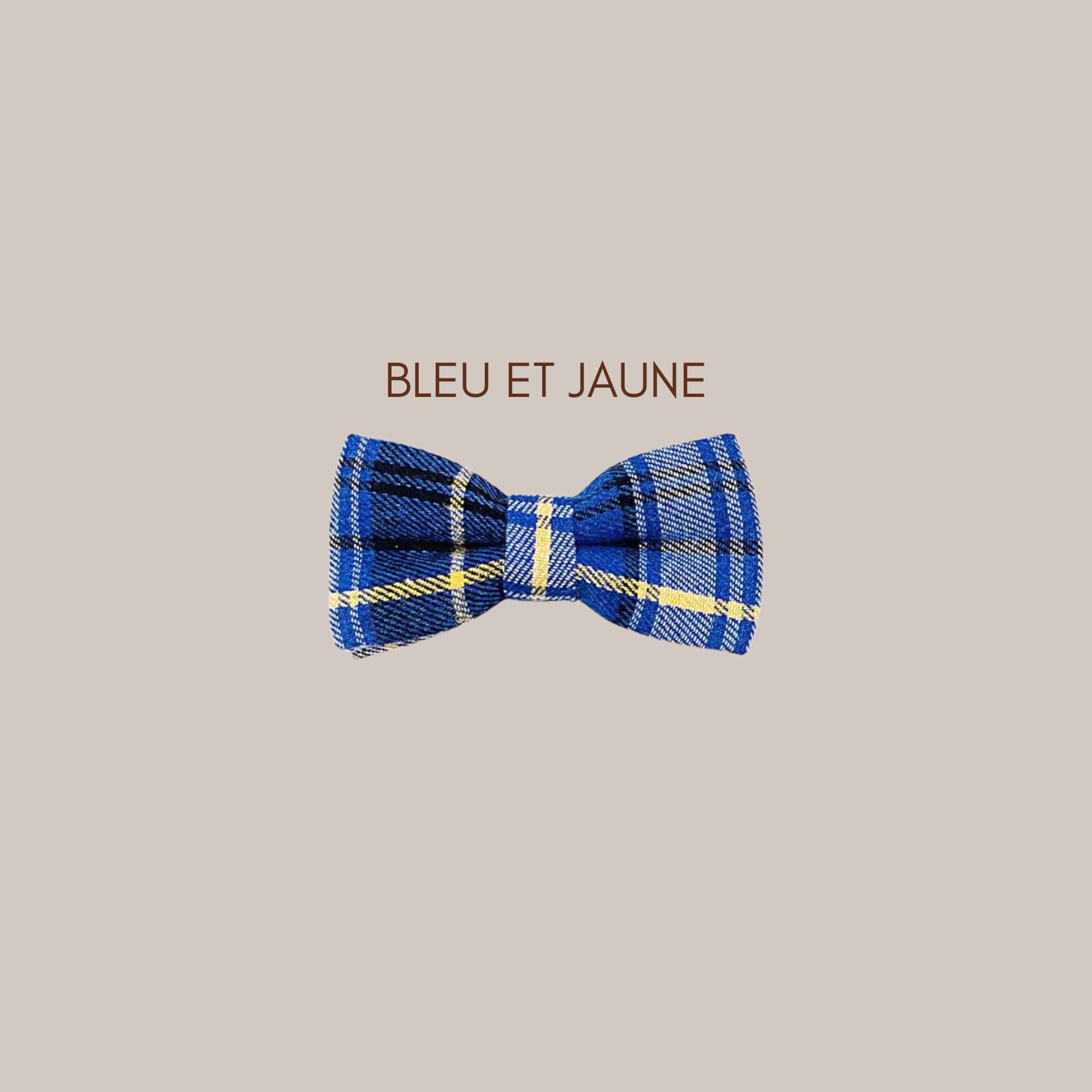 Noeud papillon pour animal - Bleu et jaune