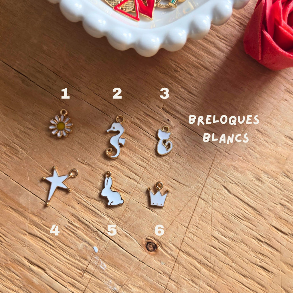 Le Porte-clé Complice – Personnalisé avec breloques & distributeur de sacs