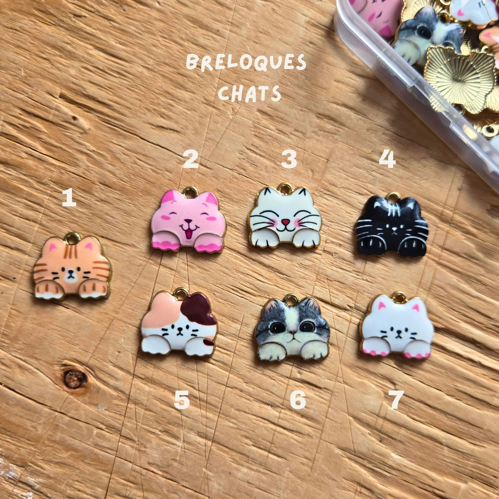 Le Porte-clé Complice – Personnalisé avec breloques & distributeur de sacs