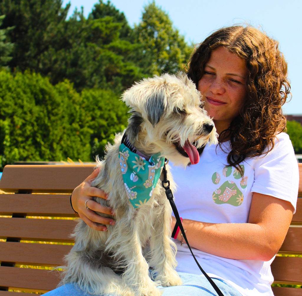 bandanas.pour.animaux