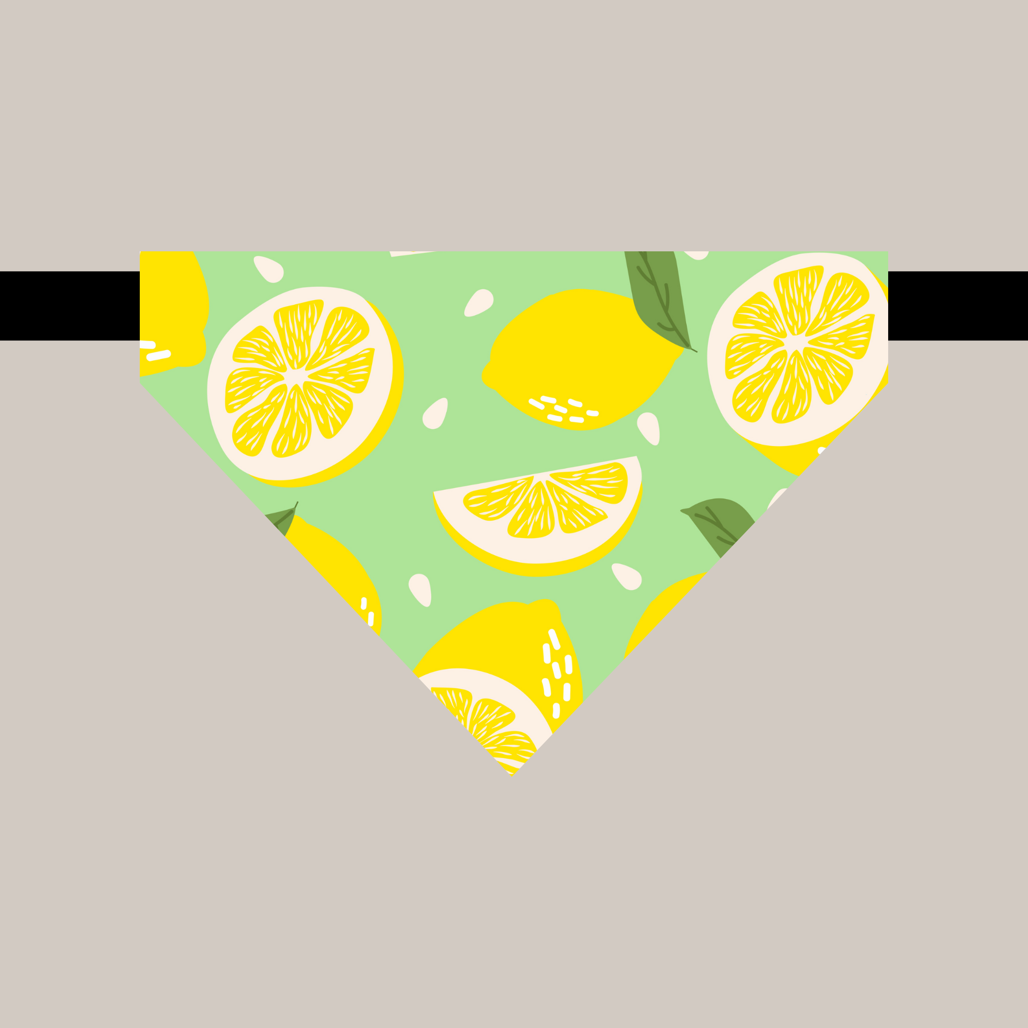 Bandana avec collier pour animaux - Citron™