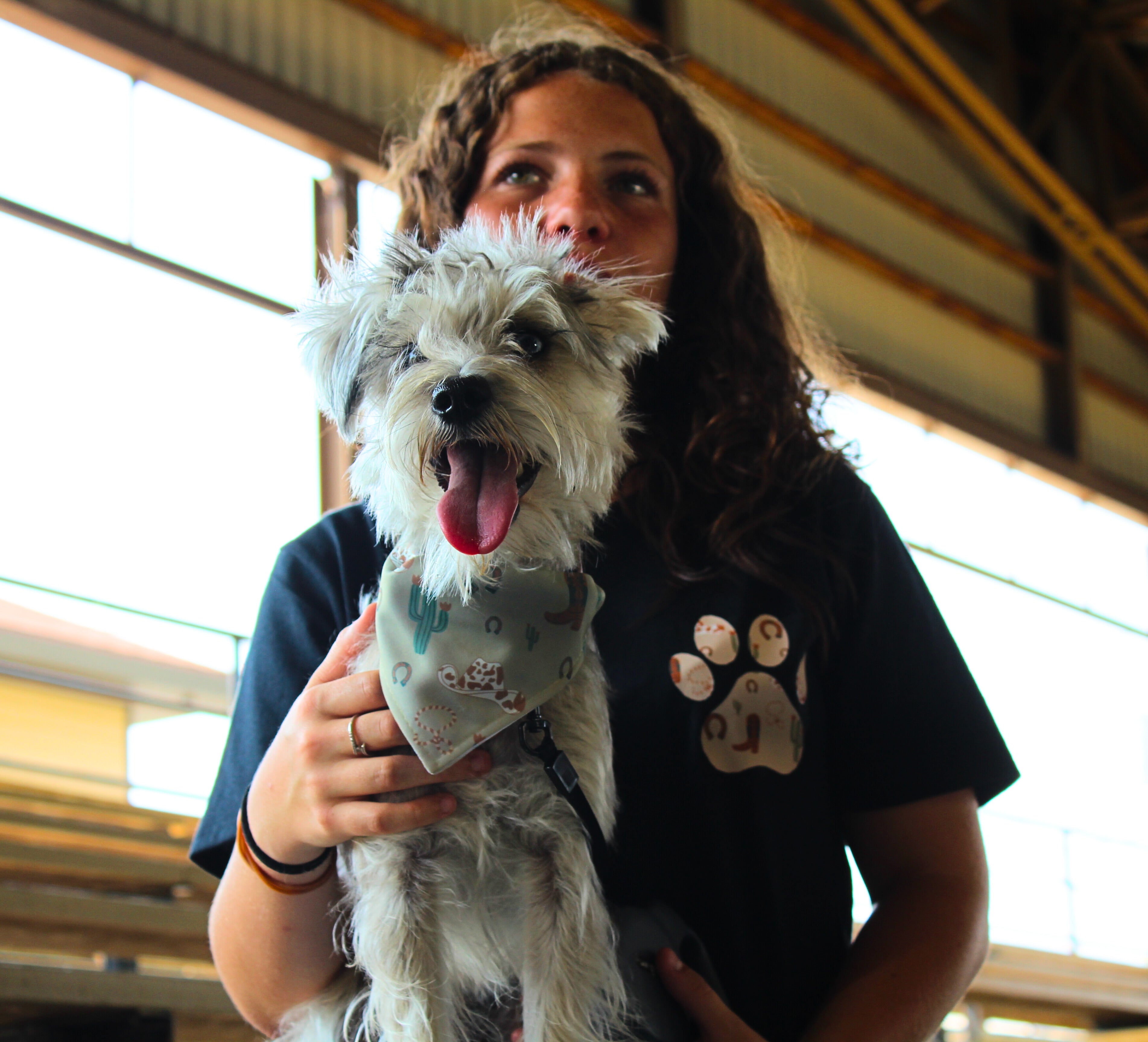 Bandana pour animaux - Country