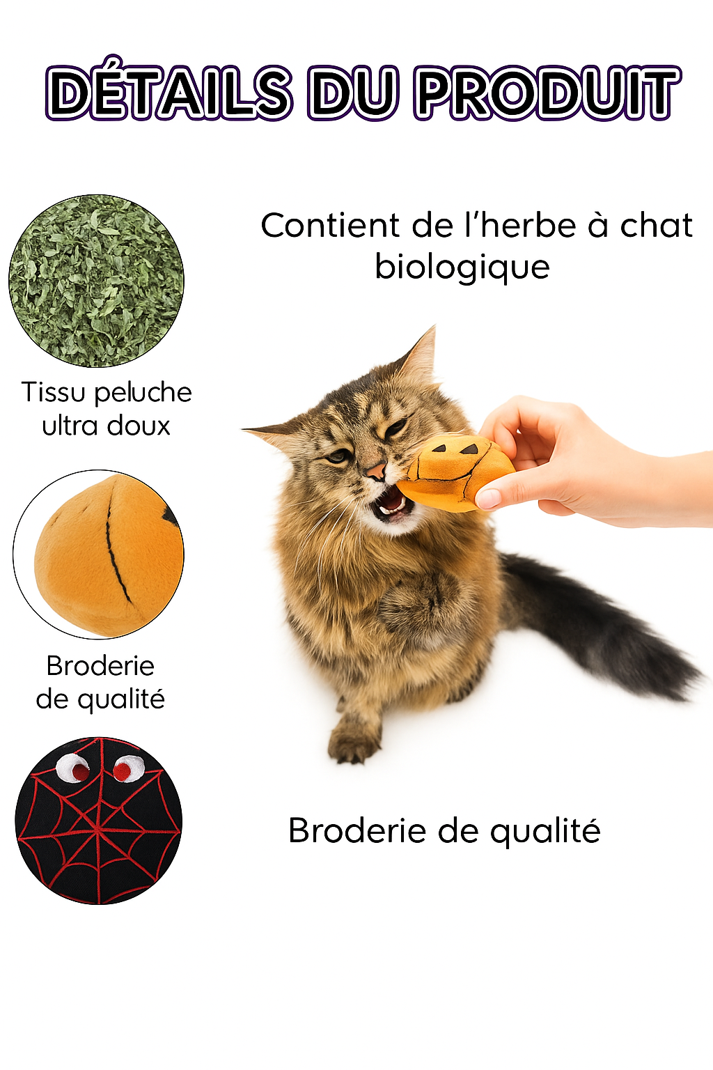jouet.pour.chat