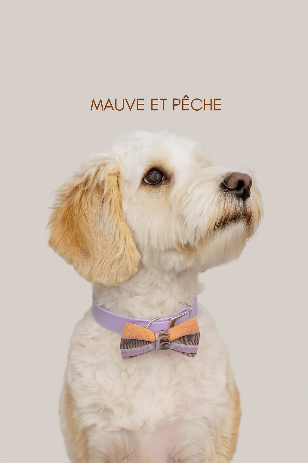 Noeud papillon pour animal - Mauve et pêche