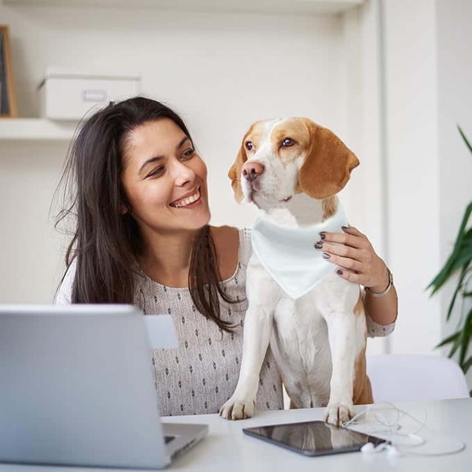 Bandana avec collier pour animaux - Banane fond mauve™