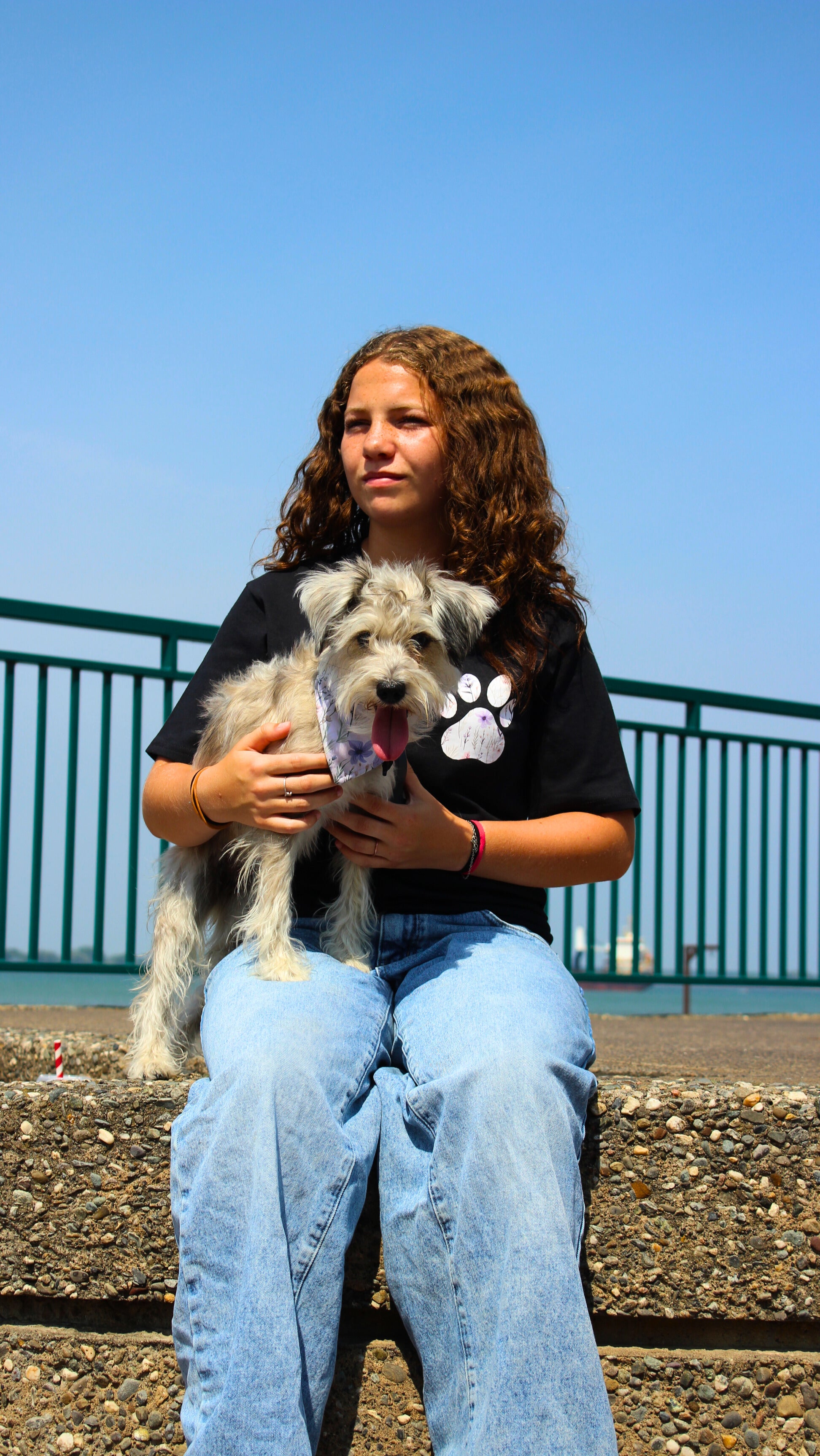 Bandana pour animaux - Fleurs sauvages