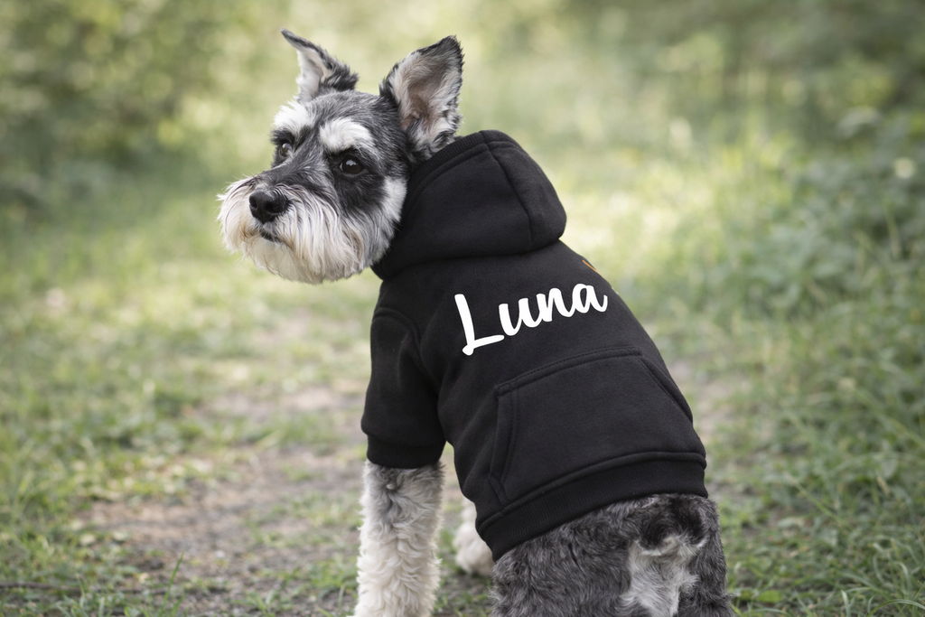 Hoodie pour animal (Petit & Moyen) — À personnaliser