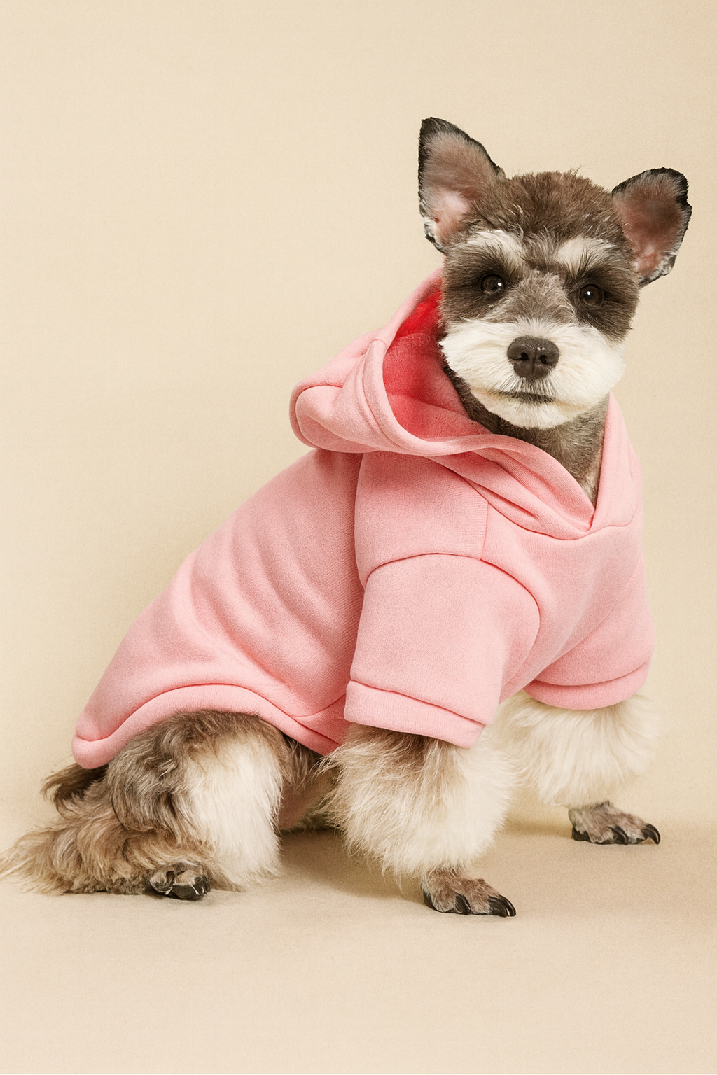 hoodie.pour.animaux.de.couleur.rose