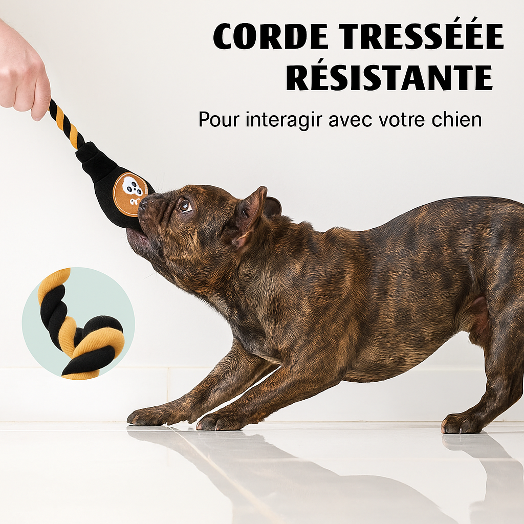 jouet.pour.chien