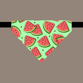 Bandana avec collier pour animaux - Melon d'eau™