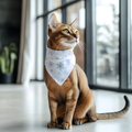 Bandana pour animaux - Flocons de neiges