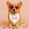 Bandana pour animaux - Petits Coeurs à personnaliser