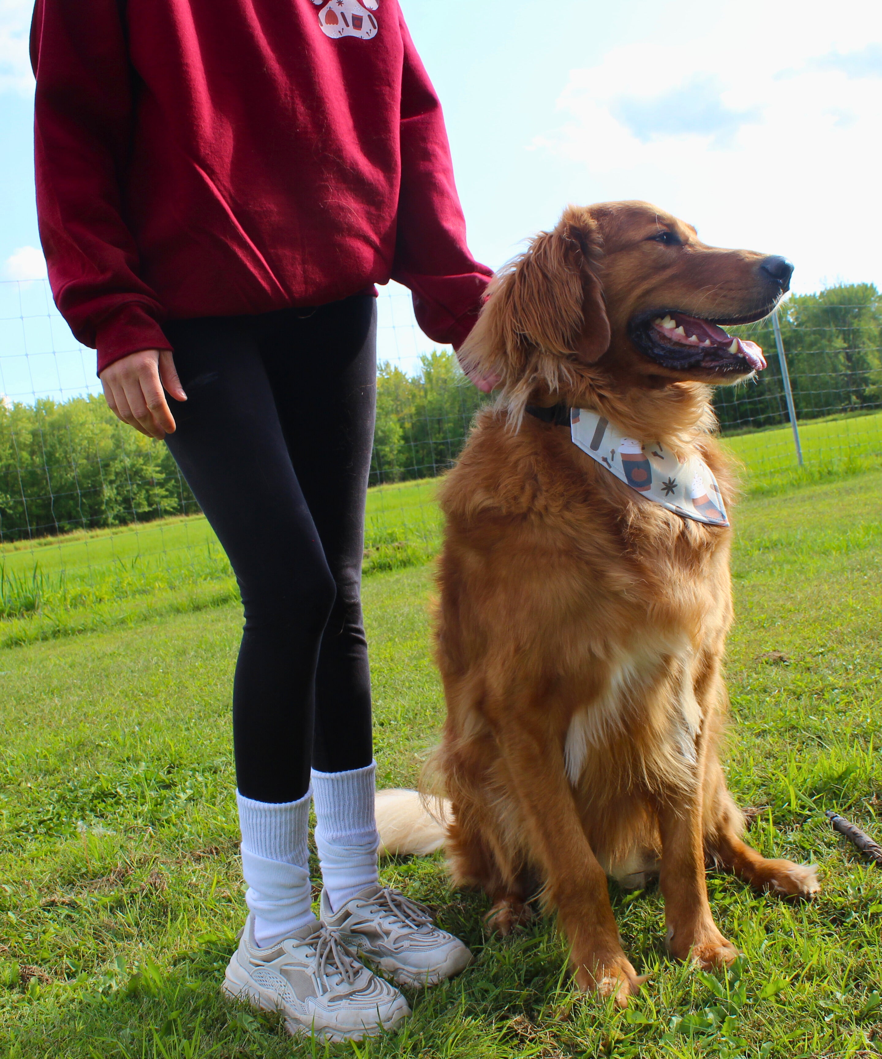 Bandana pour animaux - Latté épice d'automne