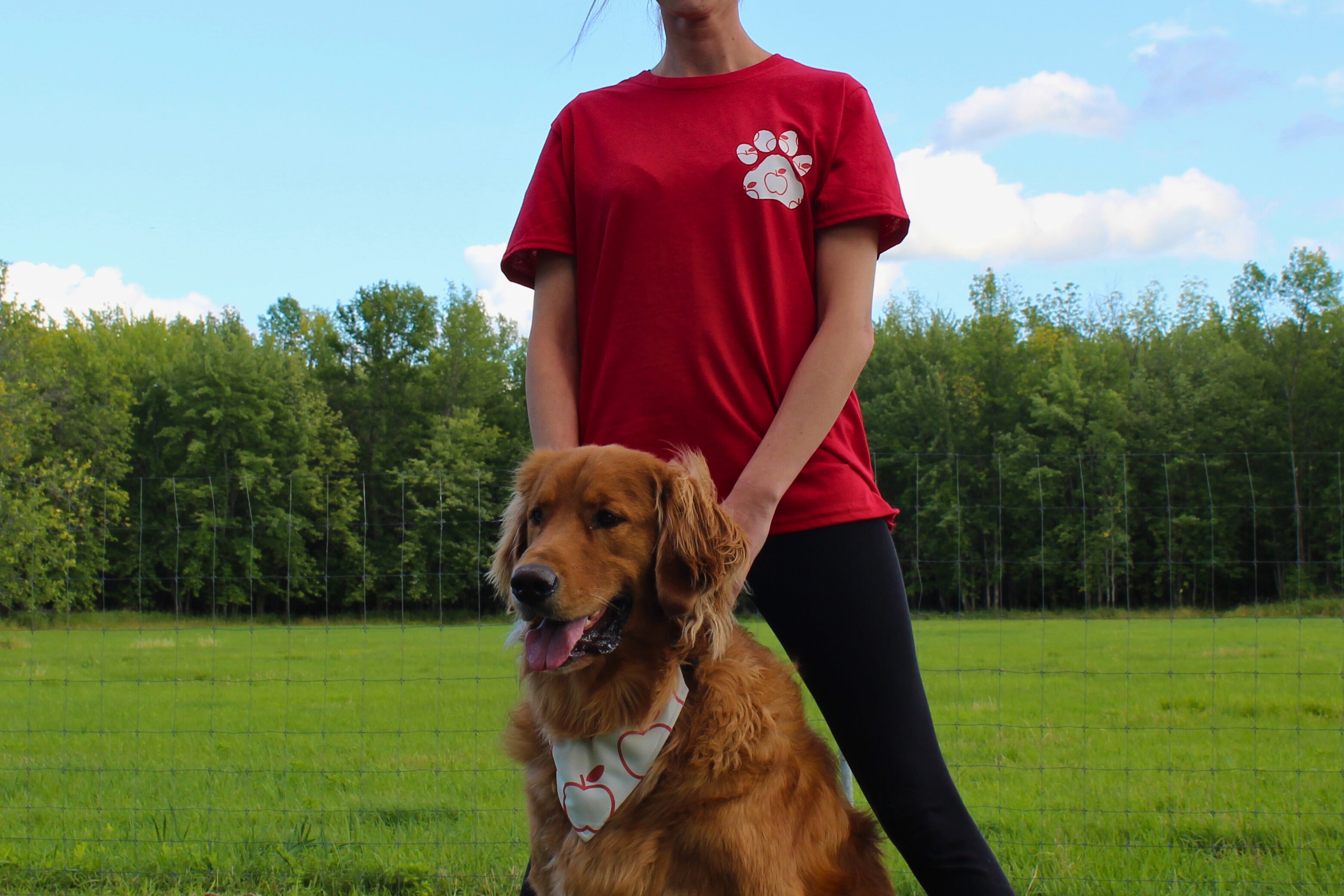 Le T-shirt matchy - Pomme