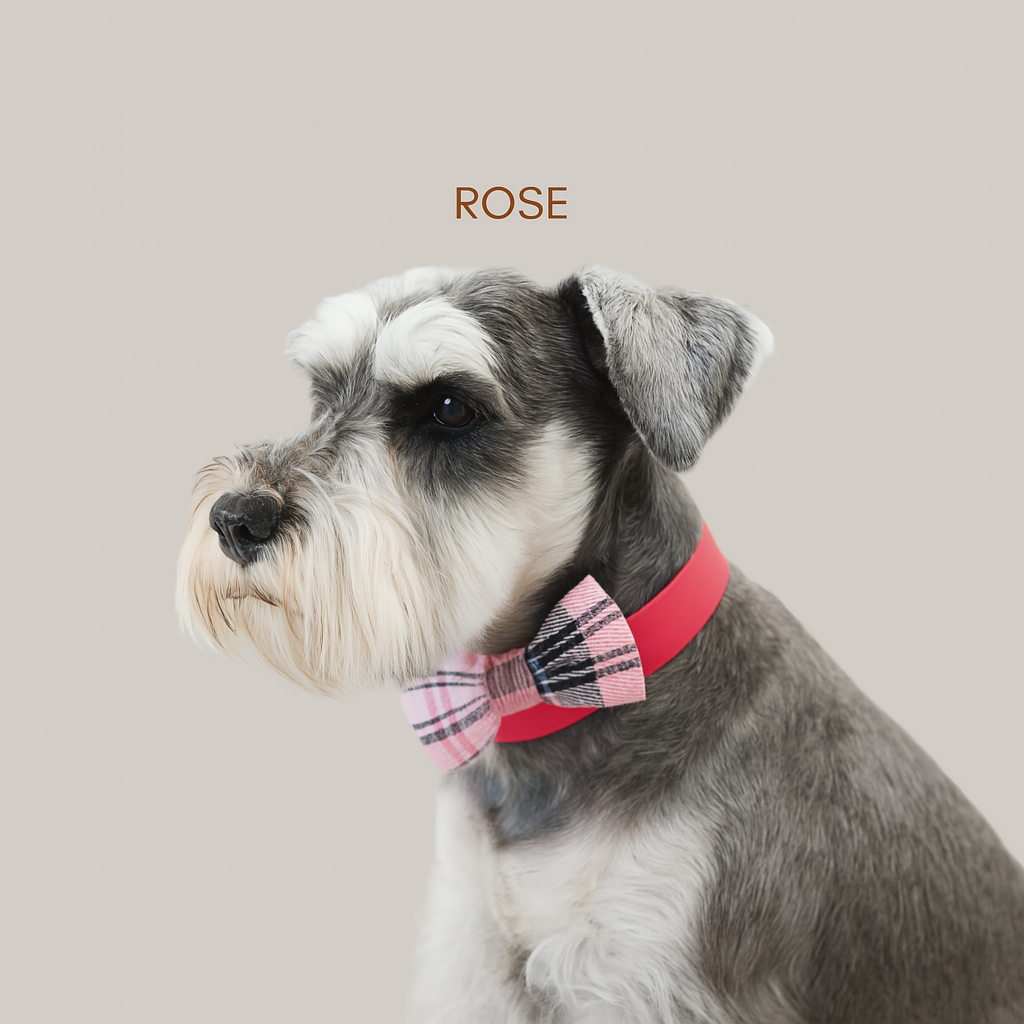 Noeud papillon pour animal - Rose