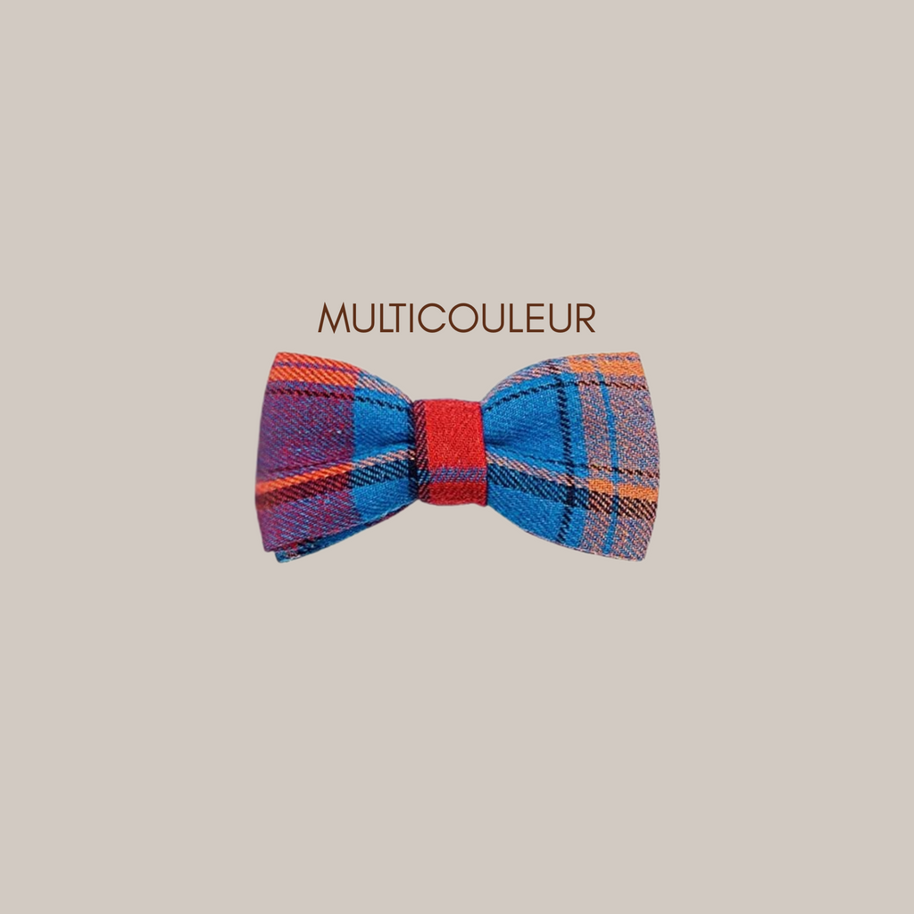 Noeud papillon pour animal - Multicouleurs