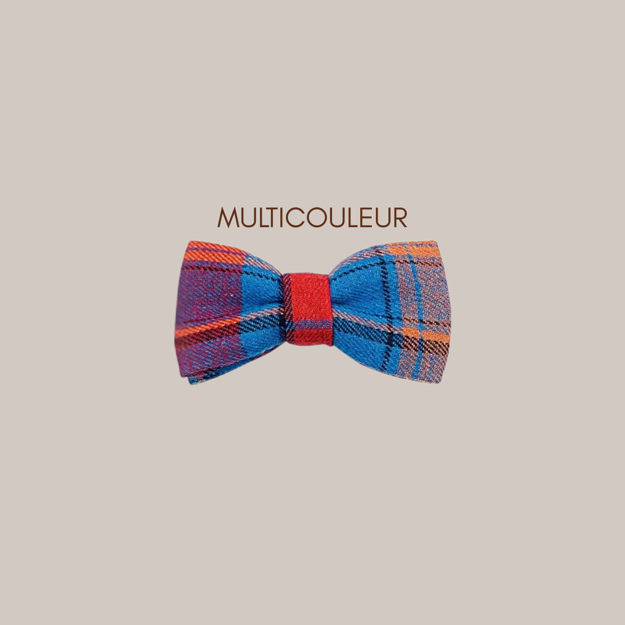 Noeud papillon pour animal - Multicouleurs