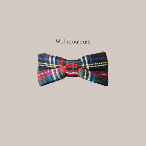 noeud.papillon.de.couleurs