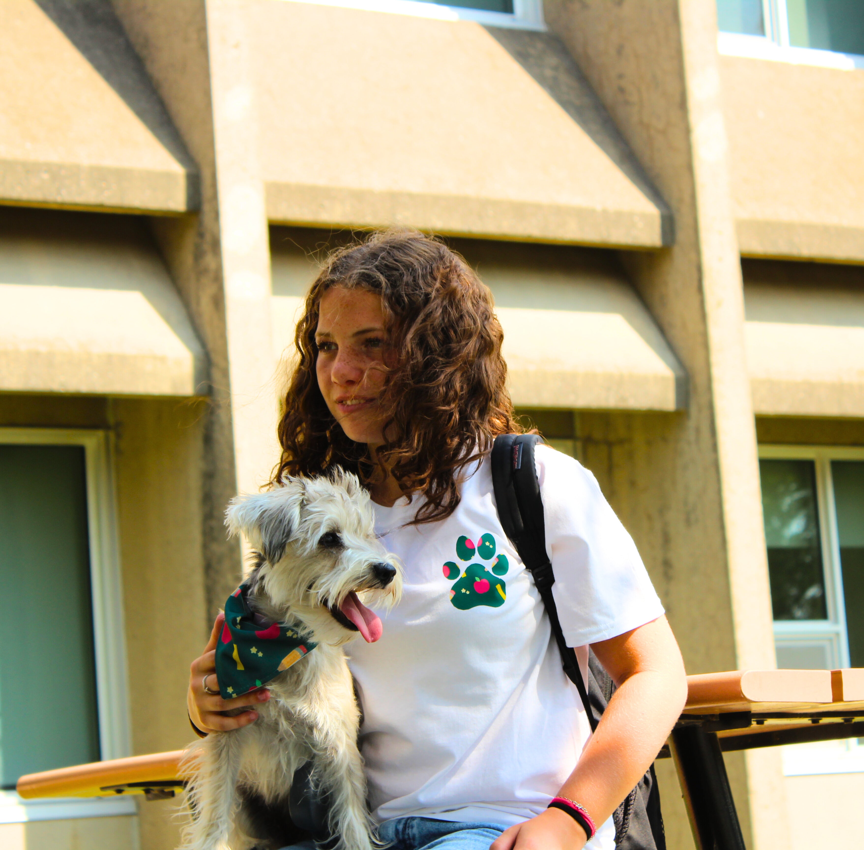Bandana pour animaux - Retour à l'école